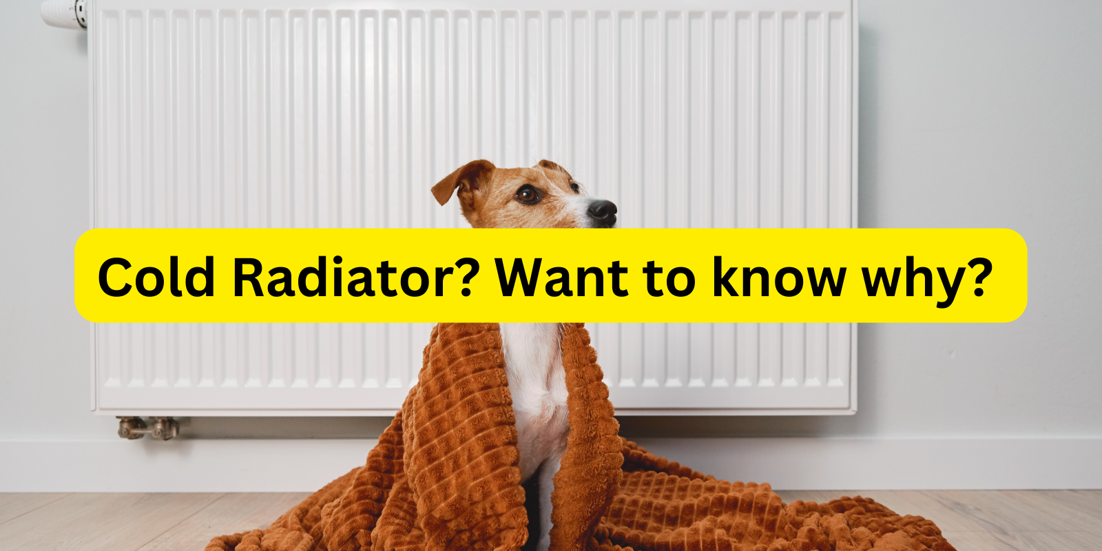 Why is my radiator not getting hot? – Heatlab - Central Heating Products